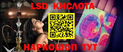 шишки Заводоуковск
