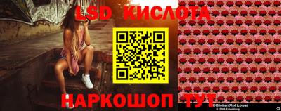 шишки Заводоуковск