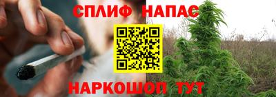 гашик Заволжье