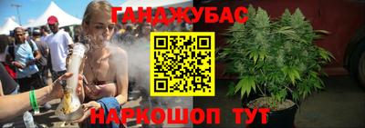 шишки Заводоуковск