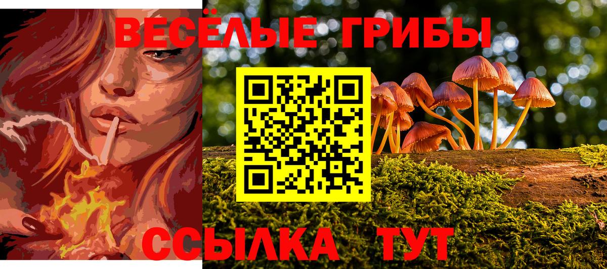 Псилоцибиновые грибы мицелий  Вход с VPN  Москва 